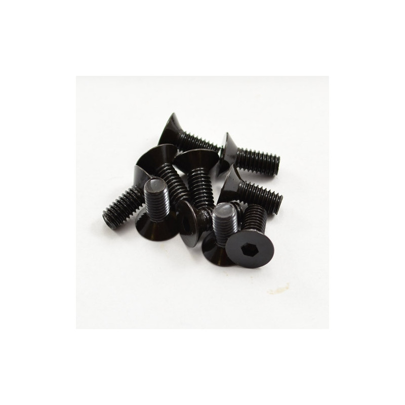 Tornillos allen avellanados 4x10 mm (10)