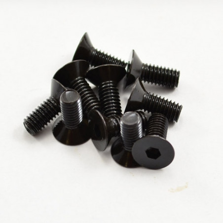 Tornillos allen avellanados 4x10 mm (10)