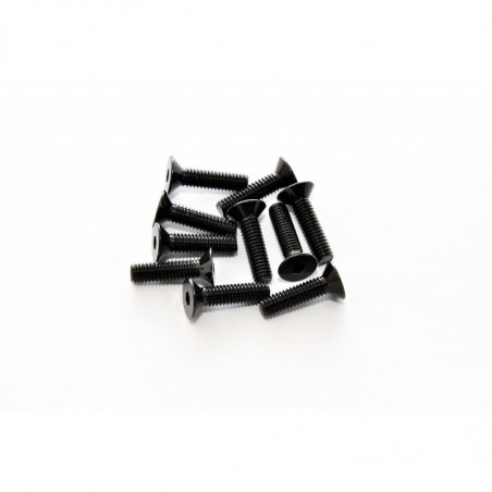 Tornillos allen avellanados 3x10 mm (10)