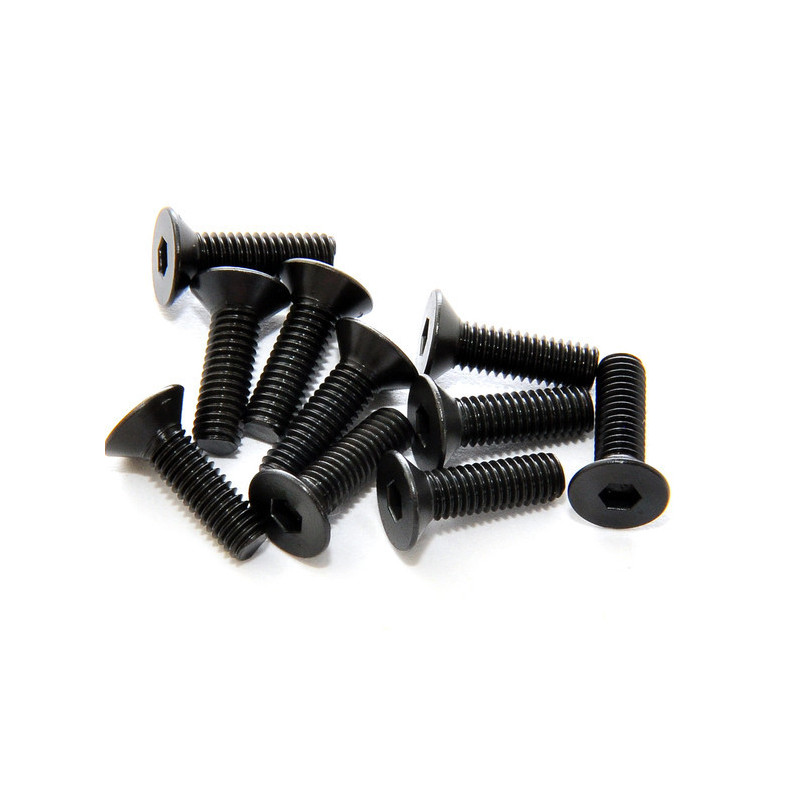 Tornillos allen avellanados 4x16 mm (10)