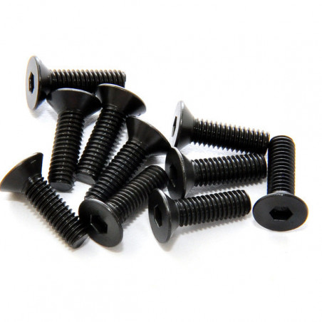 Tornillos allen avellanados 4x16 mm (10)
