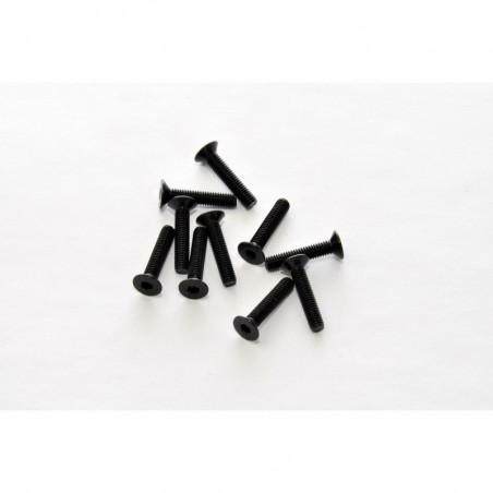 Tornillos allen avellanados 3x15 mm (10)