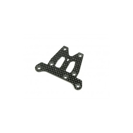 PLACA CARBONO SALVASERVOS SWORKZ