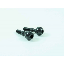 SWORKz PIVOT BALL ANTIGIRO (R)