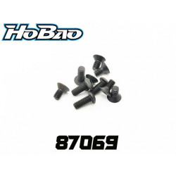Tornillos rosca fina 4x10mm (4)