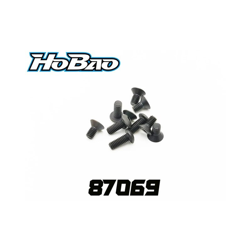 Tornillos rosca fina 4x10mm (4)