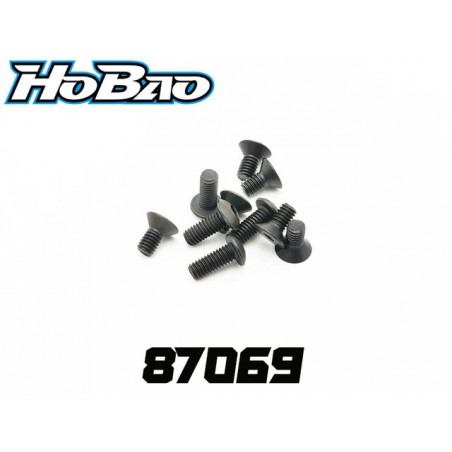 Tornillos rosca fina 4x10mm (4)