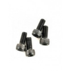Tornillos tapa cárter 3x16mm (4)