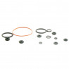 Set completo juntas motor 21