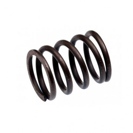 MUELLE SALVASERVOS MBX6 MUGEN - C0358
