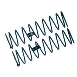 MUELLE AMORTIGUADOR TRAS. 1.6/10.50T MBX6/7/7R/8/8R MUGEN