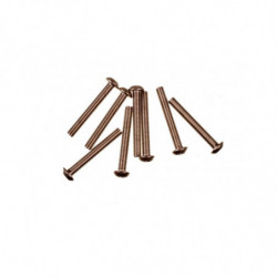 TORNILLO M3X23 TITANIO CABEZA DE CEBO (8u) MUGEN