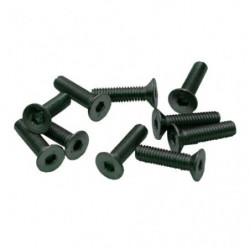 TORNILLOS M3x10mm AVELLANADO (10u.)