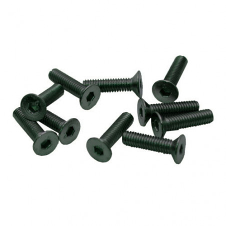 TORNILLOS M3x12mm AVELLANADO (10u.)
