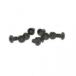 TORNILLOS M4x10mm AVELLANADO (10u.)
