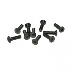 TORNILLOS M4x16mm AVELLANADO (10u.)