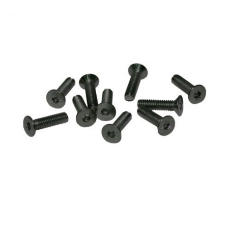 TORNILLOS M4x16mm AVELLANADO (10u.)