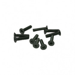 TORNILLOS M3x14mm AVELLANADO (10u.)