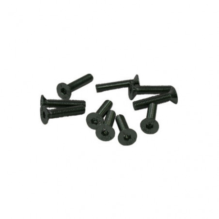 TORNILLOS M3x14mm AVELLANADO (10u.)