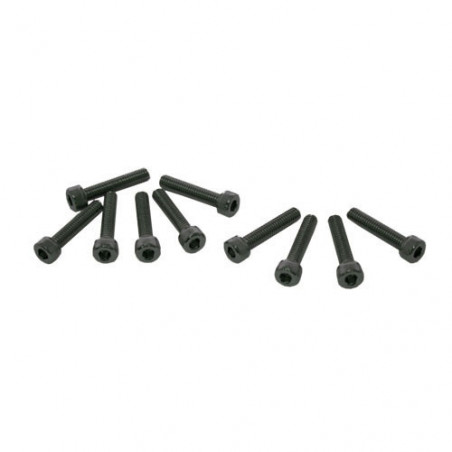 TORNILLOS M4x15mm CILINDRICO (10u.)