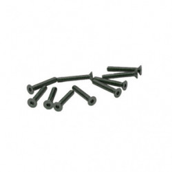 TORNILLOS M2x16mm AVELLANADO (10u.)