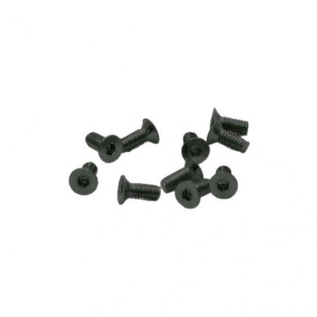 TORNILLOS M2,5x6mm AVELLANADO (10u.)