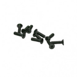 TORNILLOS M2,5x10mm AVELLANADO (10u.)