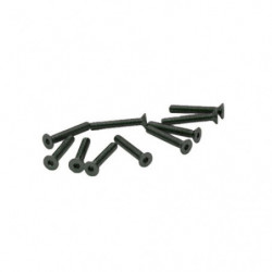 TORNILLOS M2,5x16mm AVELLANADO (10u.)