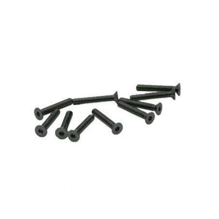 TORNILLOS M2,5x16mm AVELLANADO (10u.)