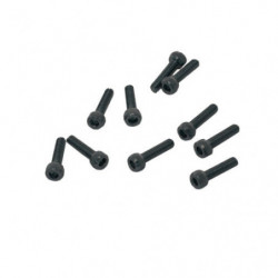 TORNILLOS M2,5x12mm CILINDRICO (10u.)