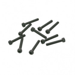 TORNILLOS M2,5x25mm CILINDRICO (10u.)