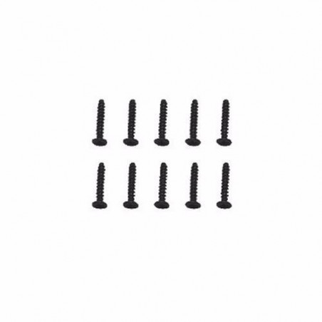TORNILLOS 2X6 (10u.) L959/L969/L979