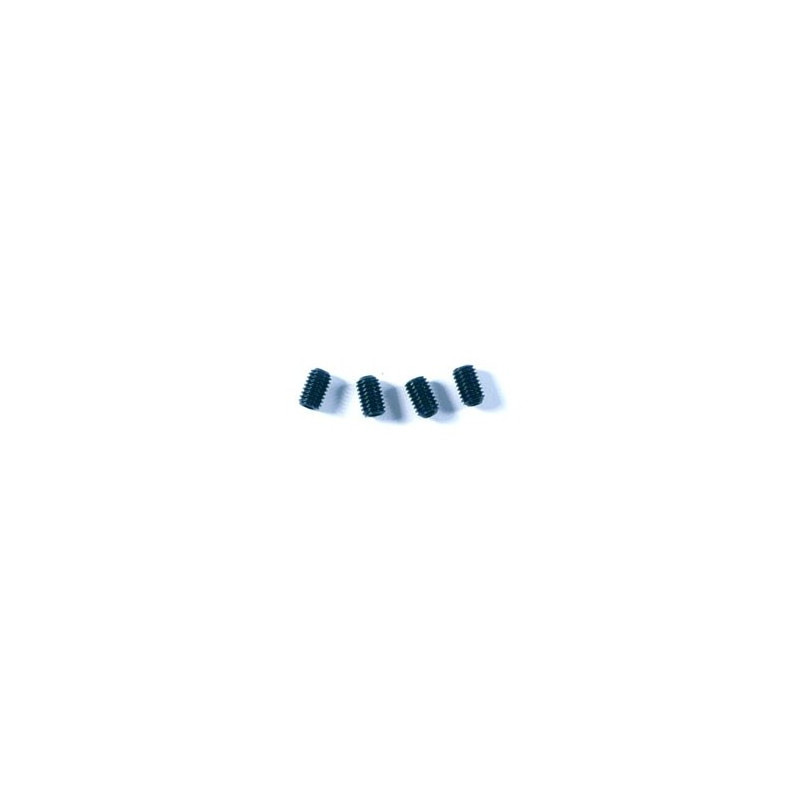 Tornillos M5x8 mm HoBao