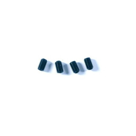 Tornillos M5x8 mm HoBao