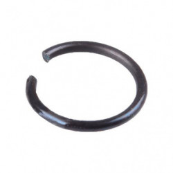 CLIPS CARDAN 12427SERIES/12423/12429 1/12 TRIAL (2u.)