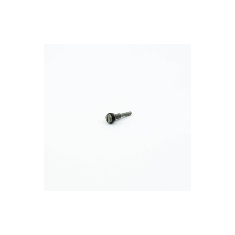 TORNILLO RALENTI M3 (22C)