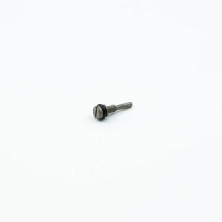 TORNILLO RALENTI M3 (22C)