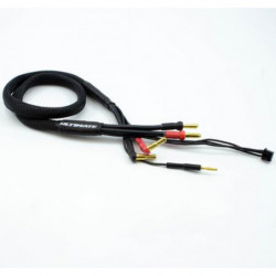 CABLE CARGA 2S DE 60 cm CON CONECTORES 4/5mm