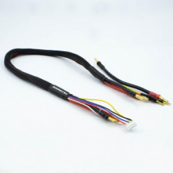 CABLE CARGA 2x2S DE 60 cm CON CONECTORES 4/5mm