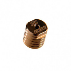 PESO 10 GR MRX6X (1u.)