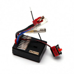 RECEPTOR 144001/124018/124019