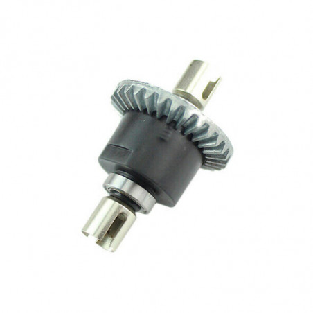 DIFERENCIAL COMPLETO 144001/124016/124017/124018/124019 (1u.)