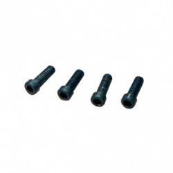 TORNILLO HEXAGONO RUEDA MTC2 MUGEN (2u.) -A2241