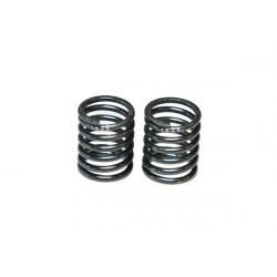 MUELLE DEL. 1.9 -6.5T MRX (2u.)