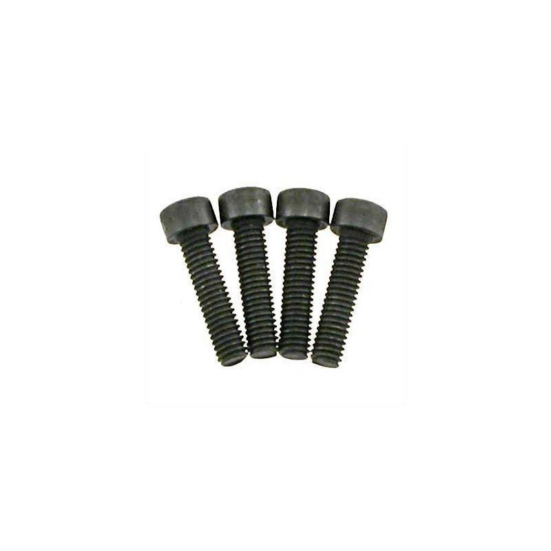 21003 - Tornillos culata 3x14 mm x4 uds.